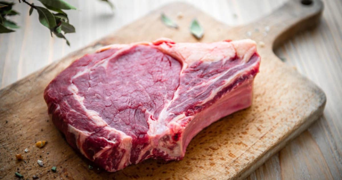 Côte à l'Os de Limousin ----> 12.13.14 Mars